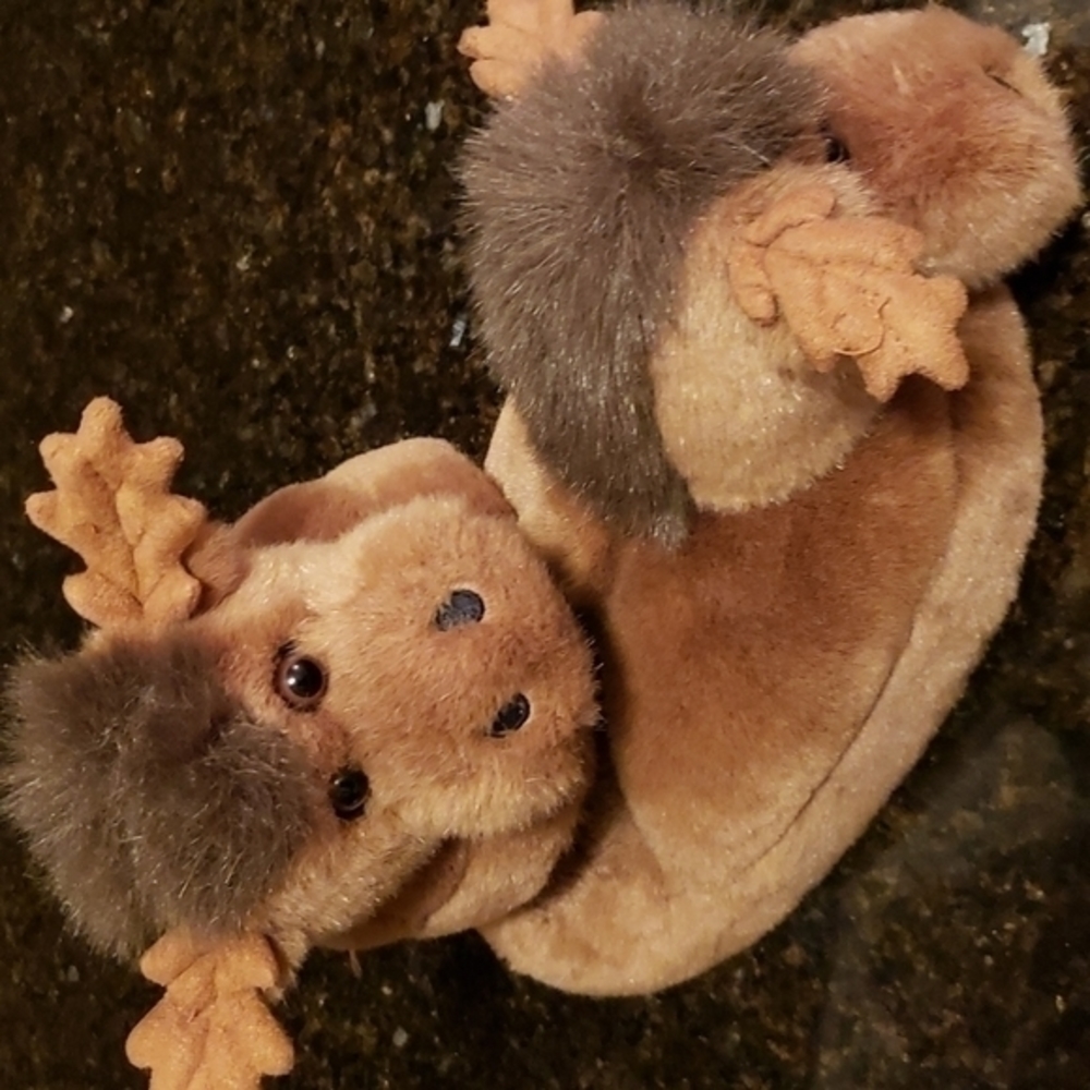 Kids Moose house shoes